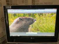 Телевизор LG               23