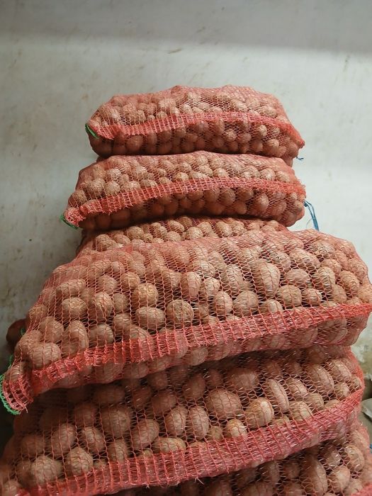 Cartofi de samanta belarosa