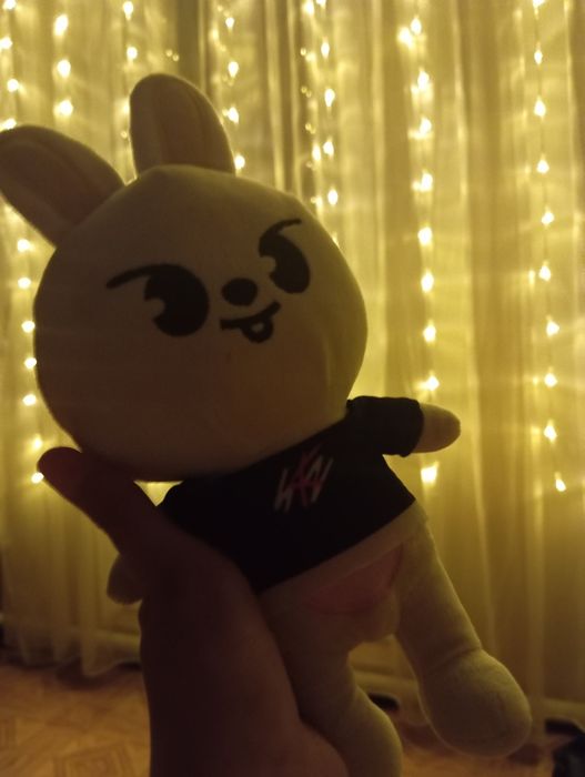 Мягкая  игрушка  Stray kids SKZOO