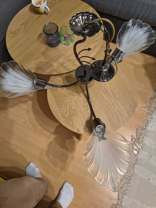 Запазен полилей.