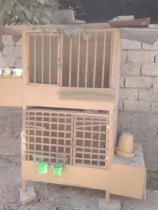 Клетка. Катак.Даканларга.ва.хоказо