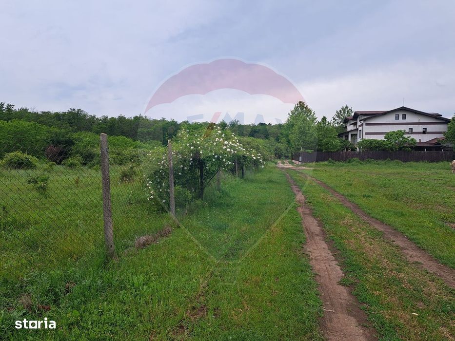 Teren Silistea Snagovului loturi 500 /1000 mp langa padurea Snagov