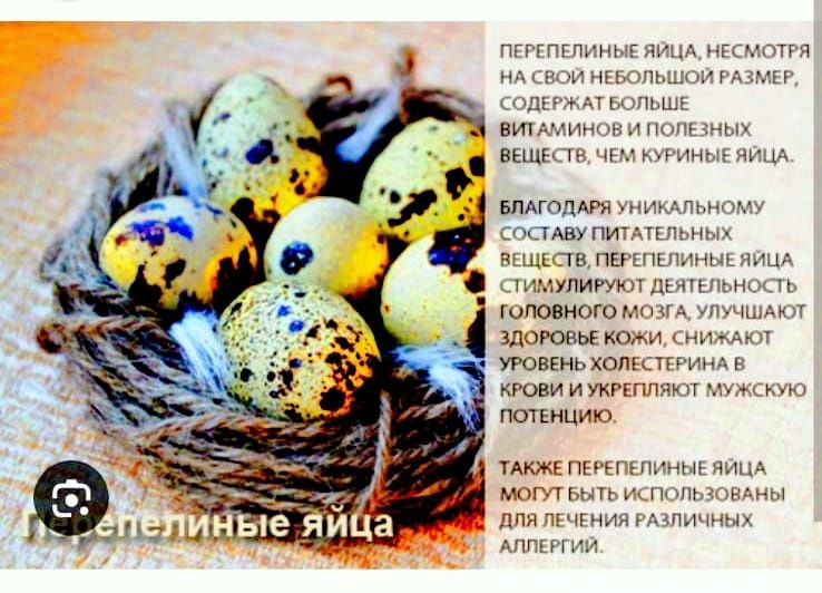 Продам перепелиные яйца