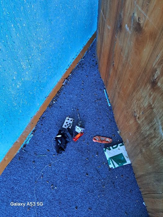 Dezinfeksiya Buxoro, Бухара Дезинфекция klapa, таракан, Чивин, Бурга