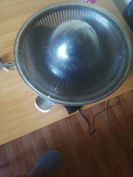 Storcător fructe electric