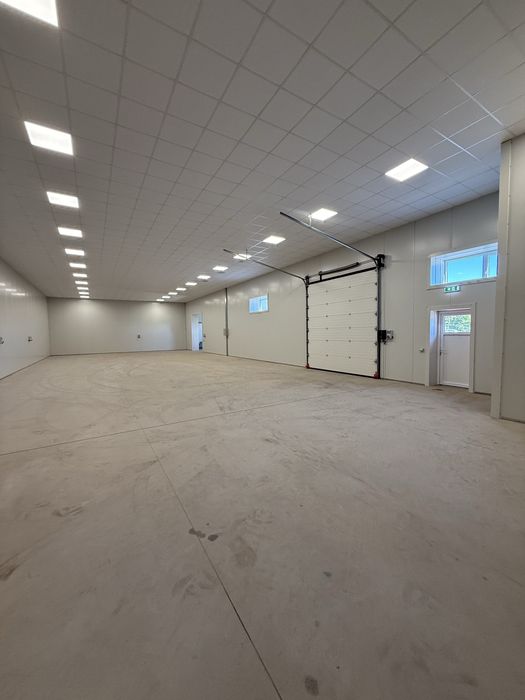 Hale+Birouri de închiriat Sighetu Marmației