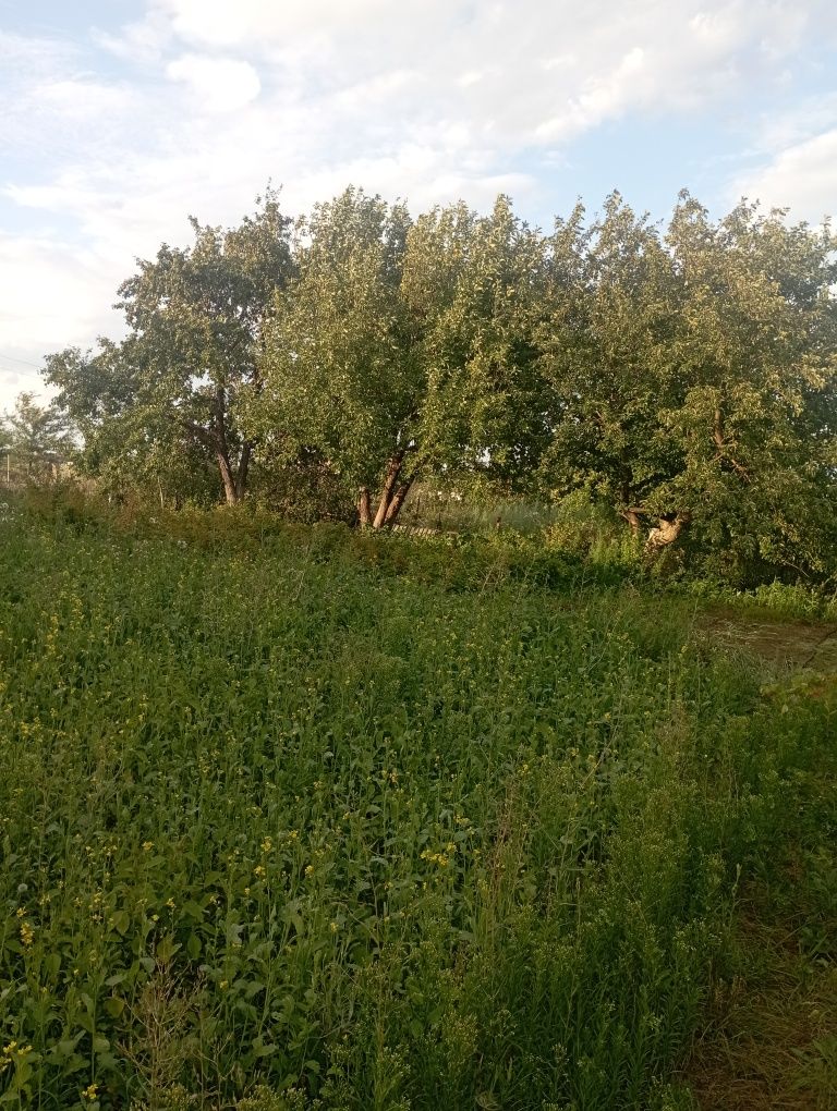 Продам дачу в районе автоцона коллектив Спартак