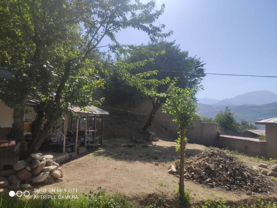 Humsonda dacha uchun yer sotiladi