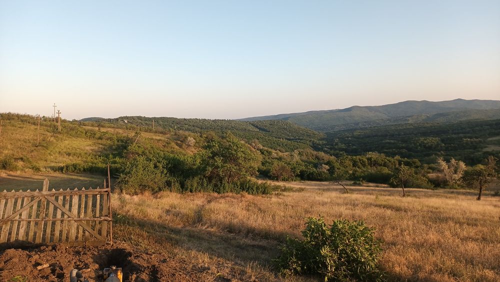 Pamant negru ptr gradina
