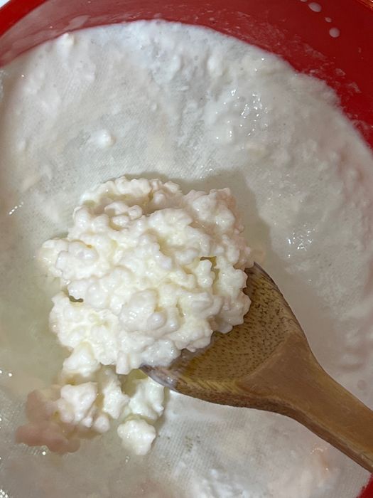 Probiotice Kombucha, Kefir de Apă și de Lapte de Capră Fermentat