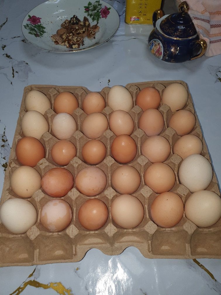Яйцо домашнее вкусное