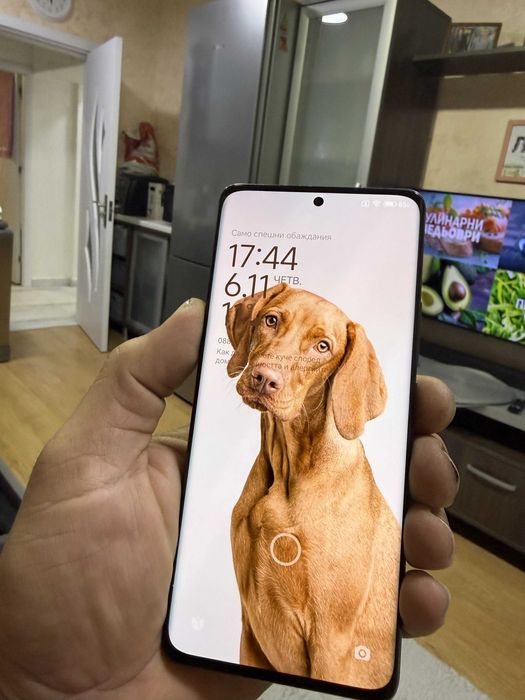 Xiaomi 12 Pro Повредедн заден панел