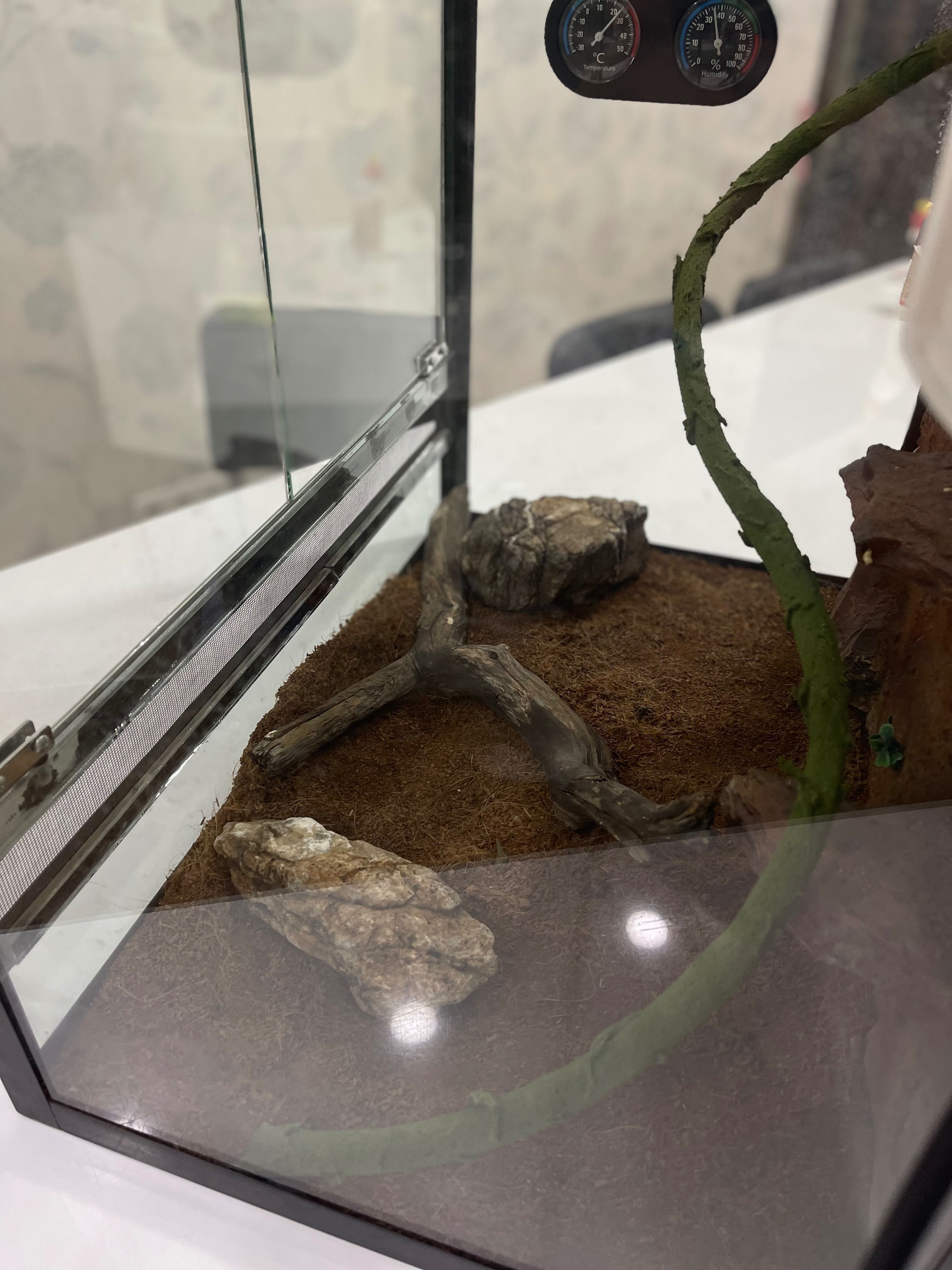 Terrarium | Террариум