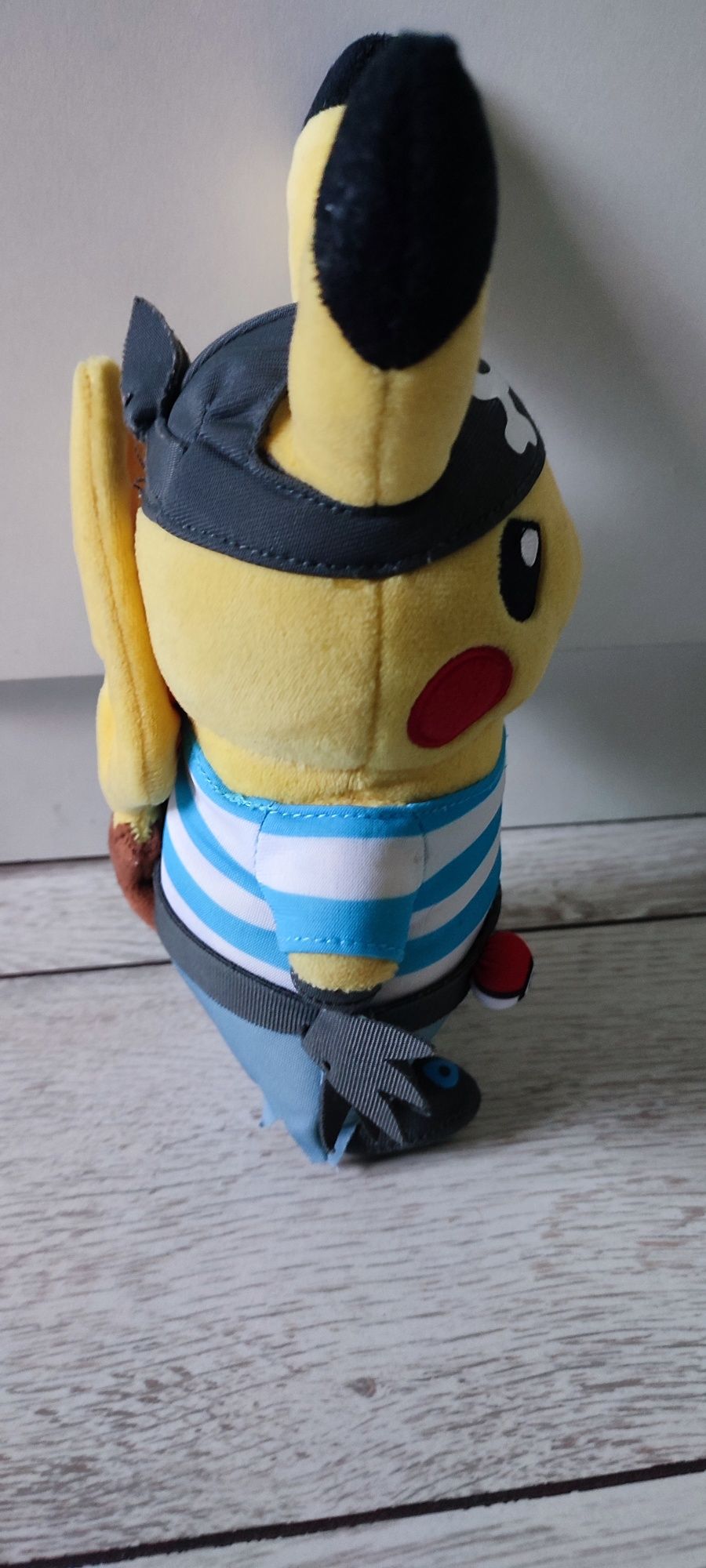 Pikachu team Aqua Costume