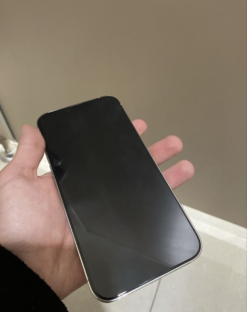 IPhone 13 Pro Max 256gb 100% | 0-0-24
