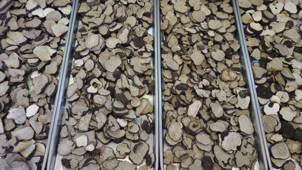 Лиофилизиран летен черен трюфел