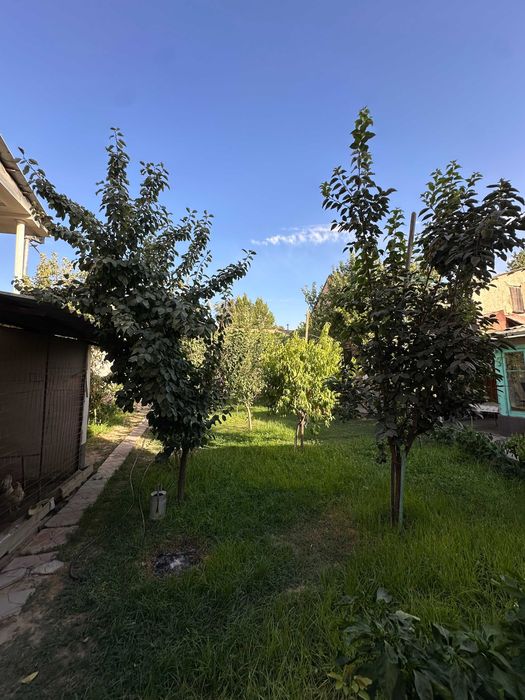 Продается дом 5,6 соток в центре города.