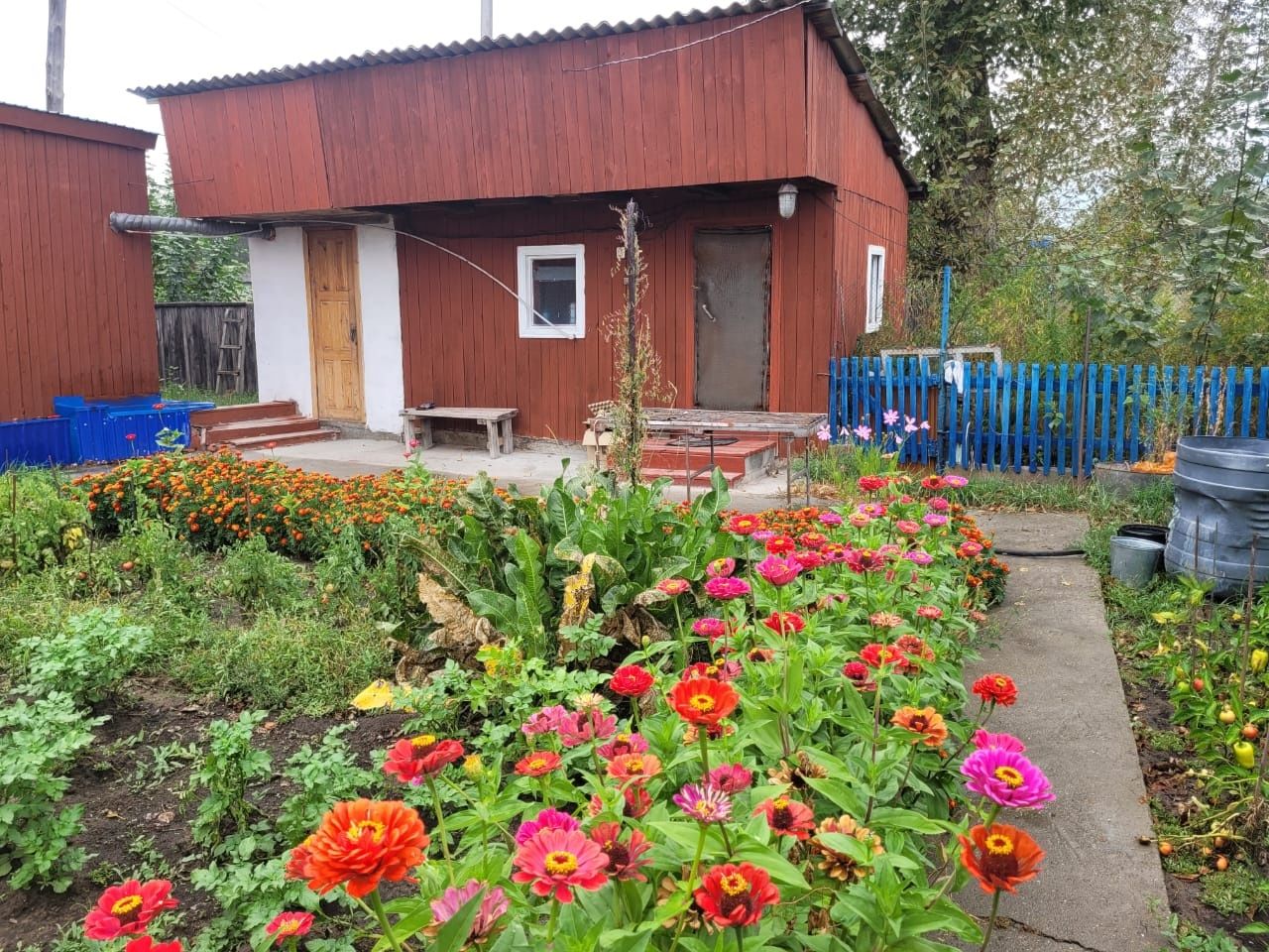 с.Бородулиха, дом