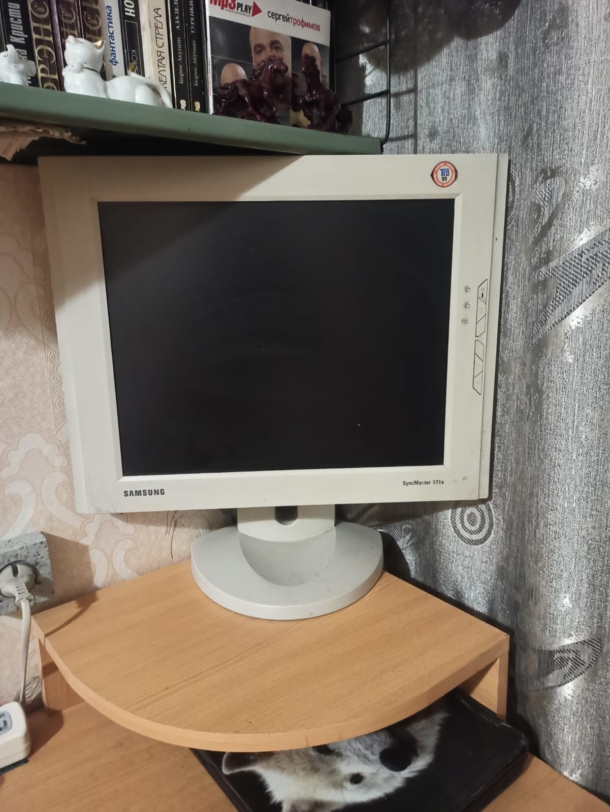 Монитор рабочий.