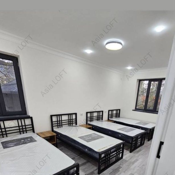 Loft zebest   kravat