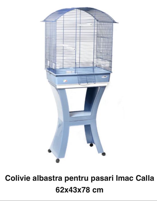 Colivie papagali mare