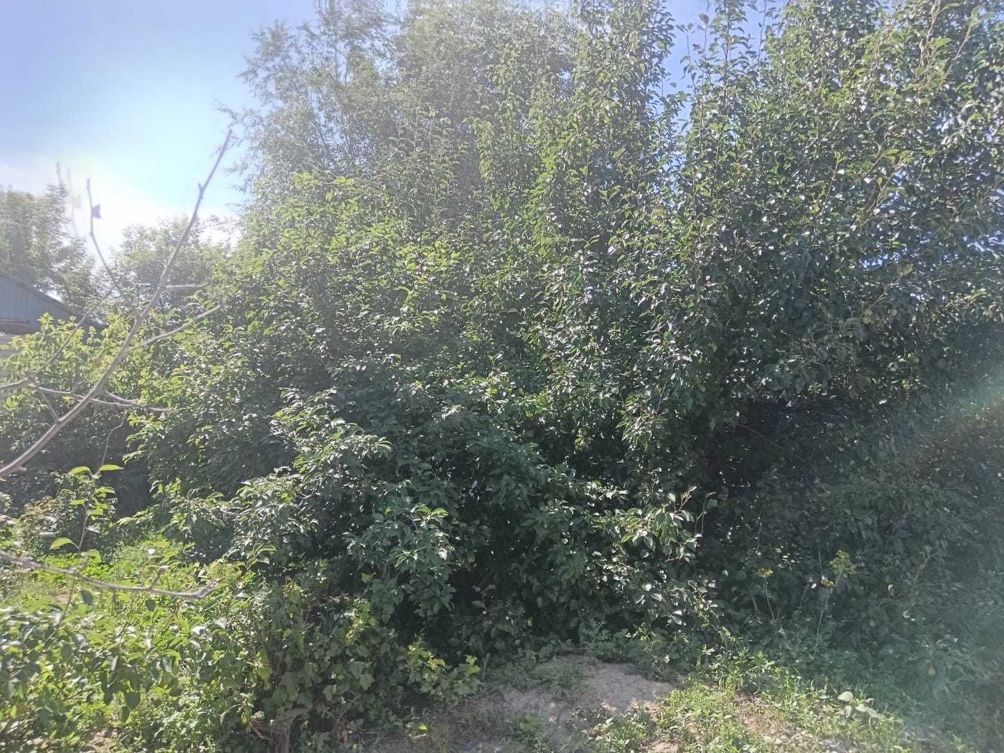 Продам дом в Улкен-Нарыне