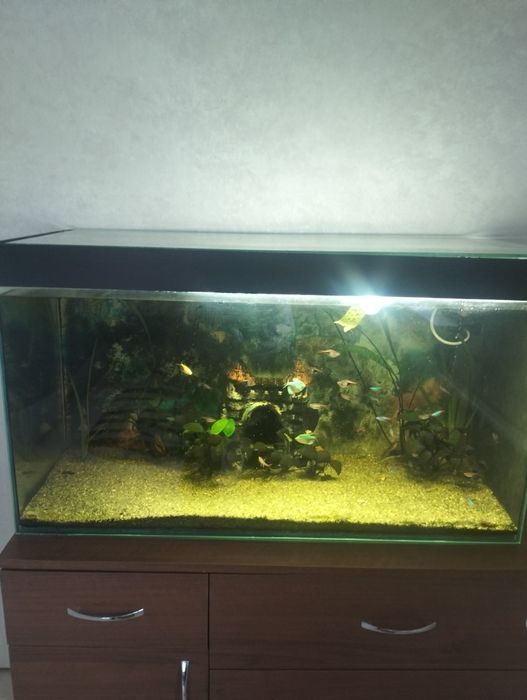 Продам аквариум 180 литров