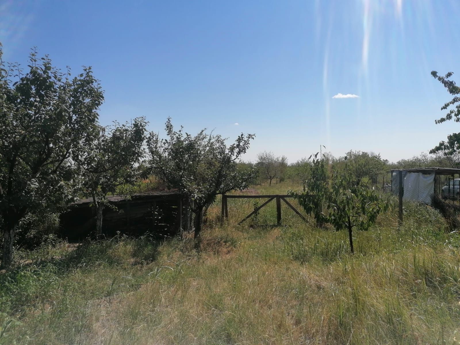 Casa de vanzare Buzau - Merei