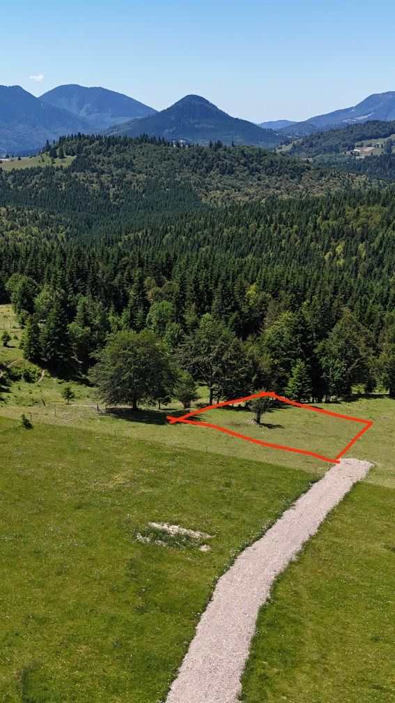 Teren Pasul Tihuța/Piatra Fântânele