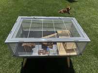 Vand ZOLUX Cusca pentru hamsteri, gerbili Neo Nigha small H36 gri