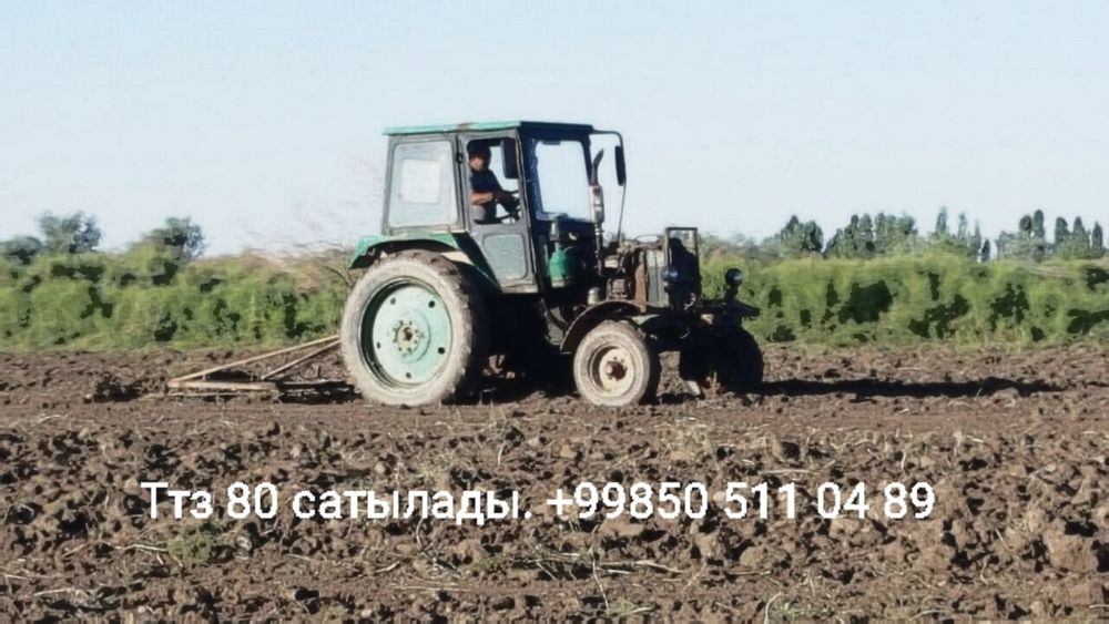 Ттз 80 сатылады журибтур
