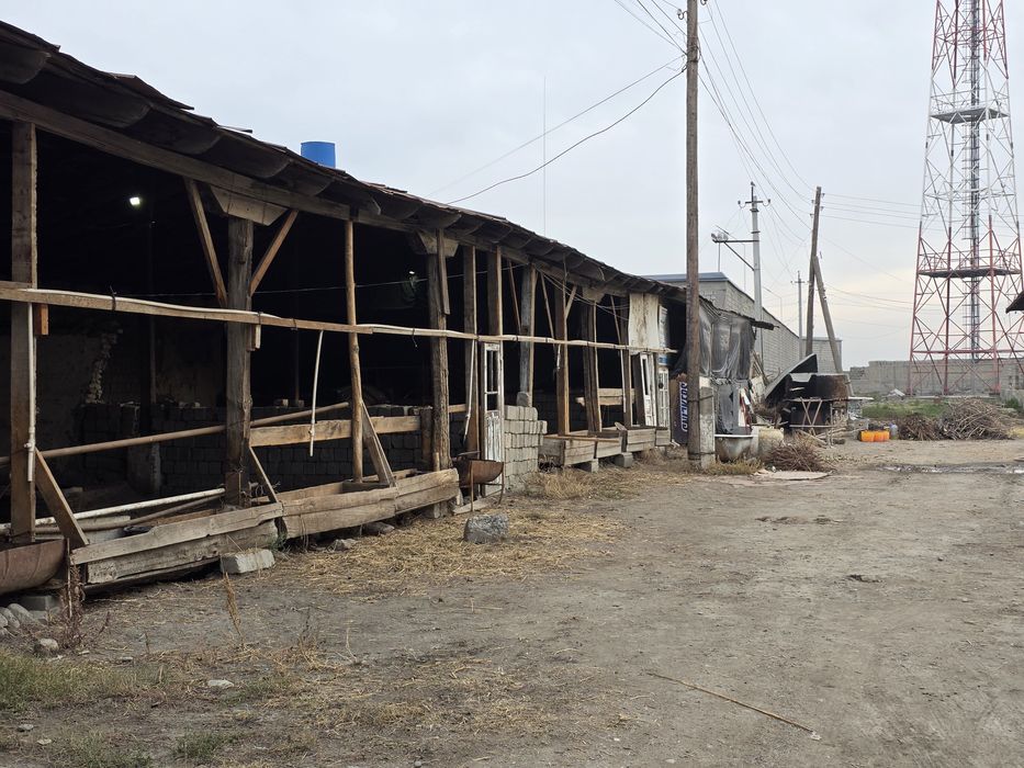 50 соток Дахбет шахарчасида уй жой кадастри балан срочно