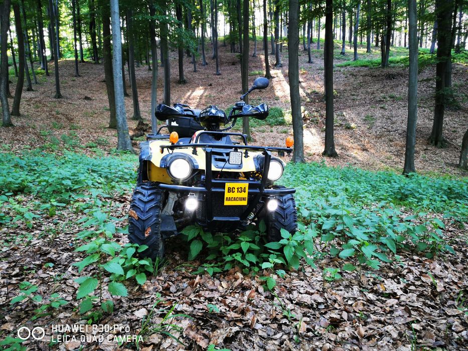 ATV Linhai worker 300