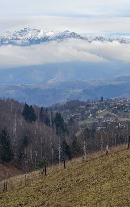 Teren ieftin la munte ! Acum si în RATE FĂRĂ AVANS, zona Bran, Fundata