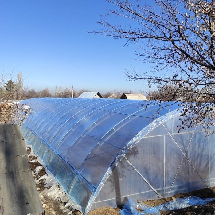 Теплица (под ключ)