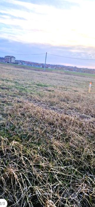 parcela de 500 mp în paleu