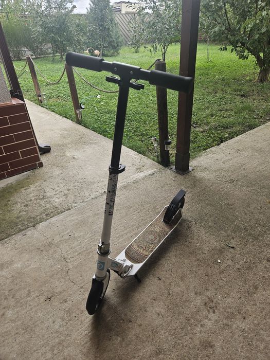 Set trotineta+skateboard