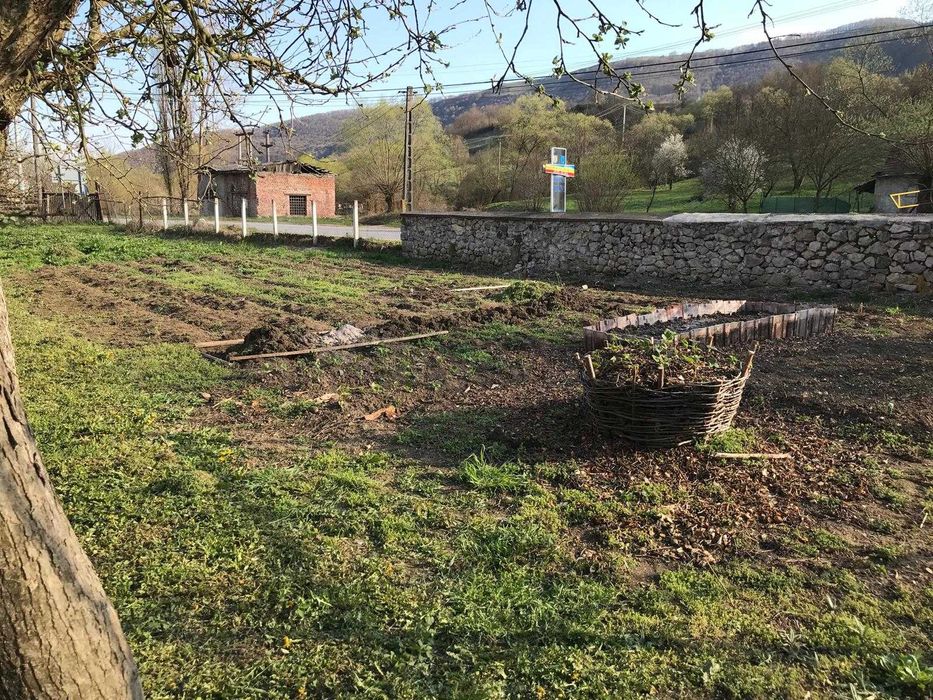 Casa cu livada - Poiana Aiudului