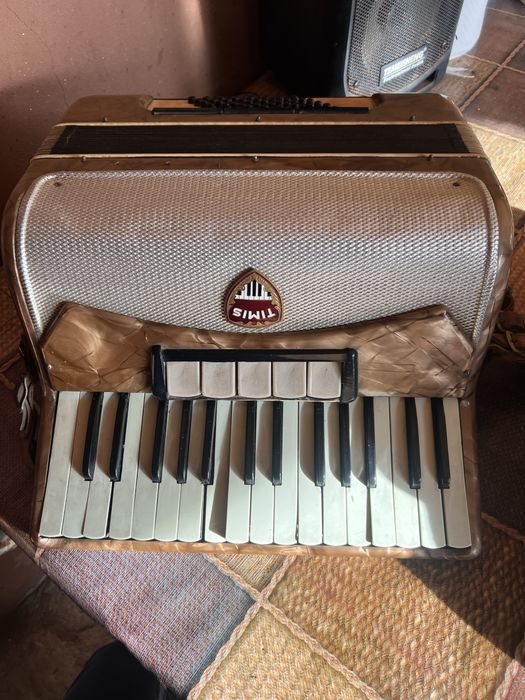 Acordeon de peste 100 de ani !