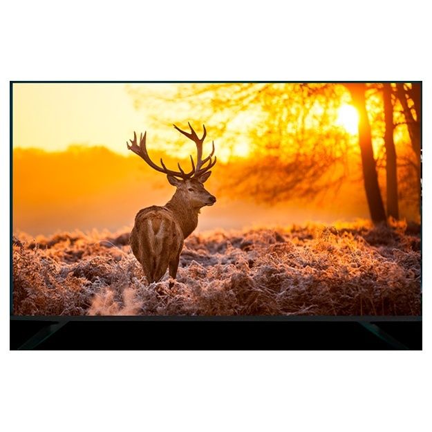 Телевизор TCL 43