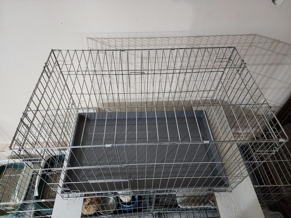 Егиладигон кафас