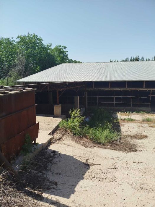 Продается ферма для откорма КРС,лошадей и баранов