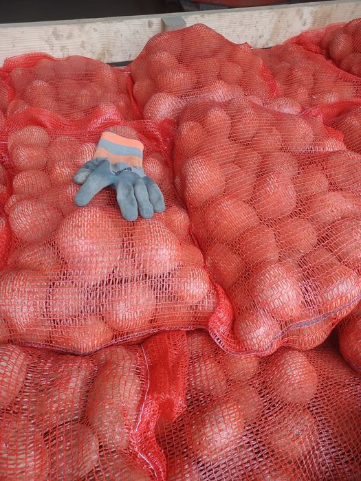 Cartofi consum ambalați la 10 kg, cantitate mare