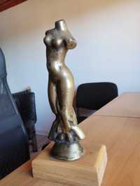 Sculptura bronz nud