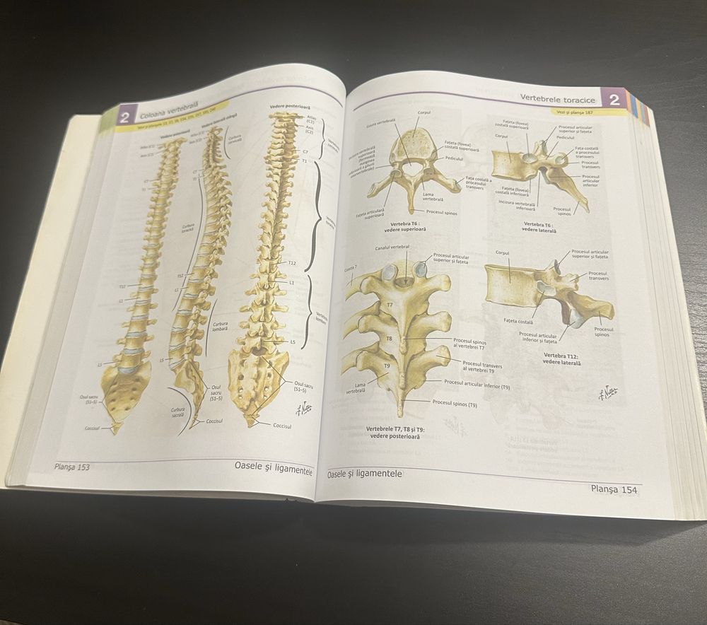 Atlas anatomie Netter editia in romana medicina UMF