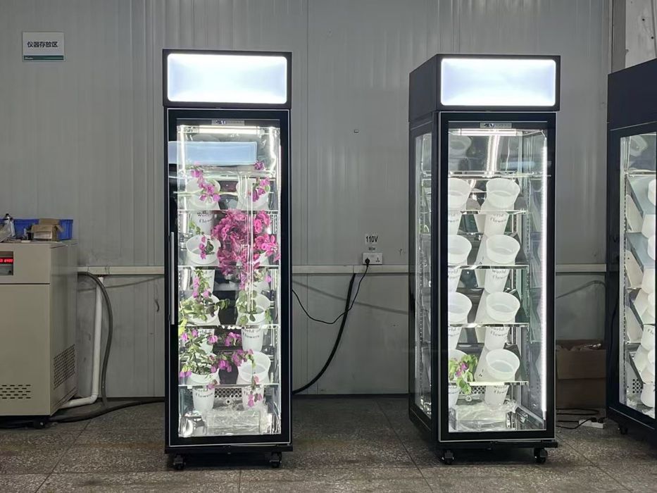 Vitrina frigorifica pentru flori/buchete/inox oglinda