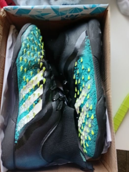 Сороконожки предатор