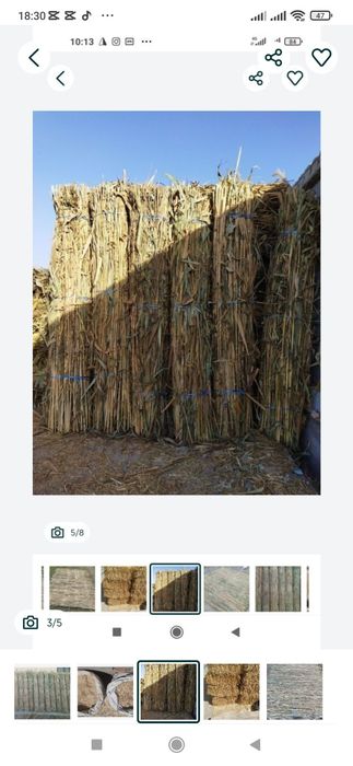 Somon Qamish Mayda somon press Dastavka