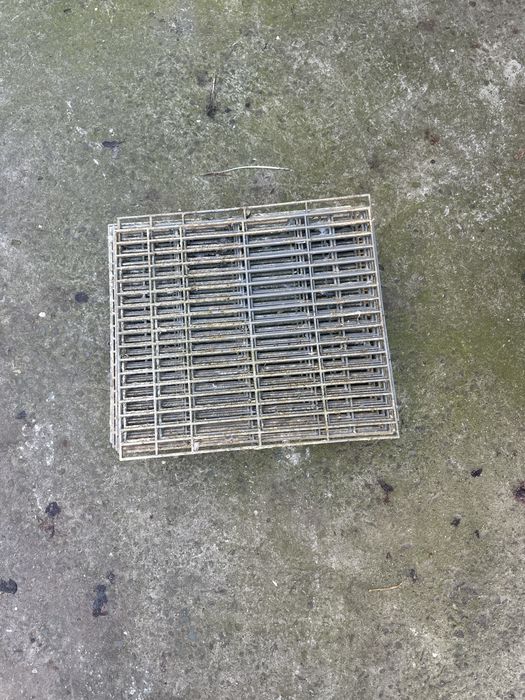 Desființare crescătorie cuibare ceramica porumbei