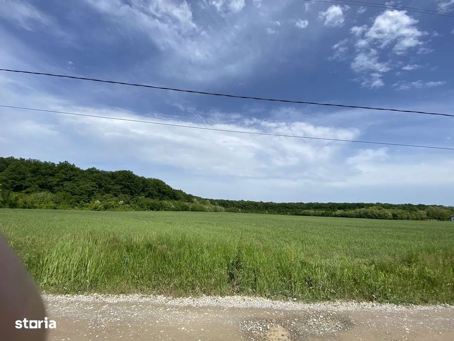 Oportunitate în Ciofliceni – teren intravilan cu utilități perfect